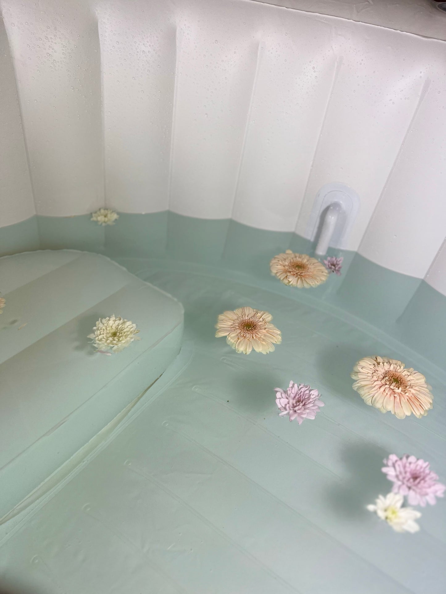 Birthing Pool & Liner
