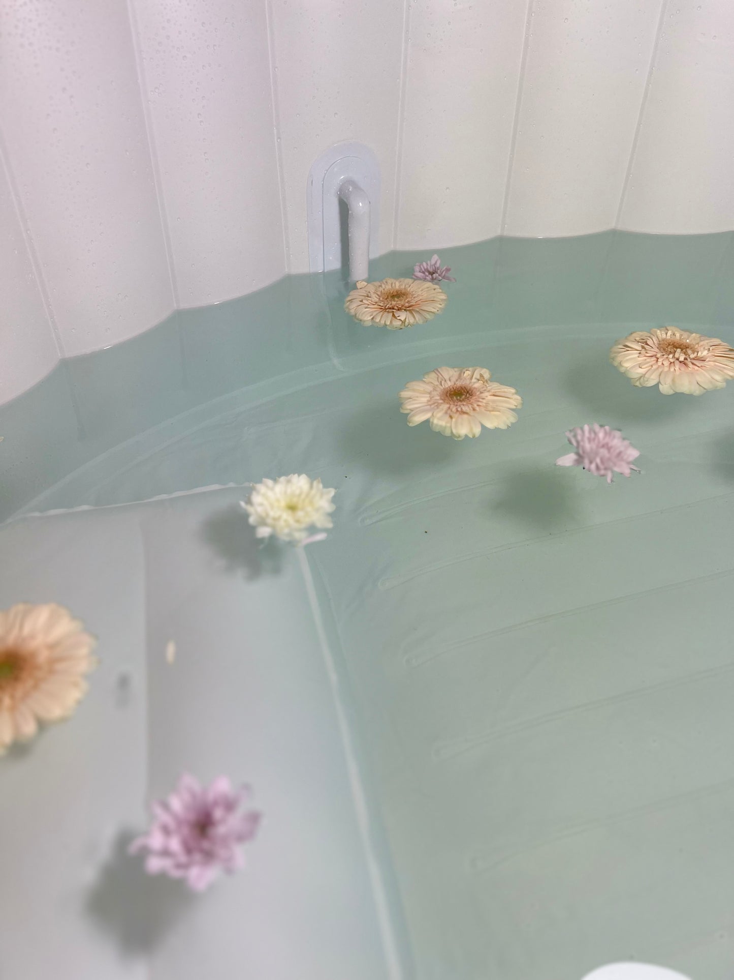 Birthing Pool & Liner